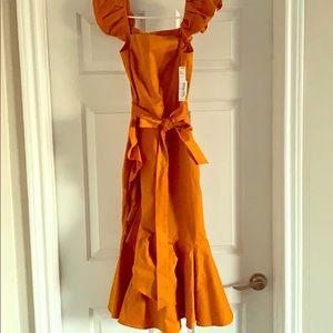 Antonio Melani Fall 2019 dress